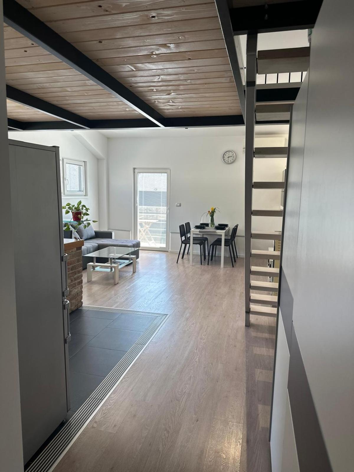 Apartment Stucin Vipava Esterno foto