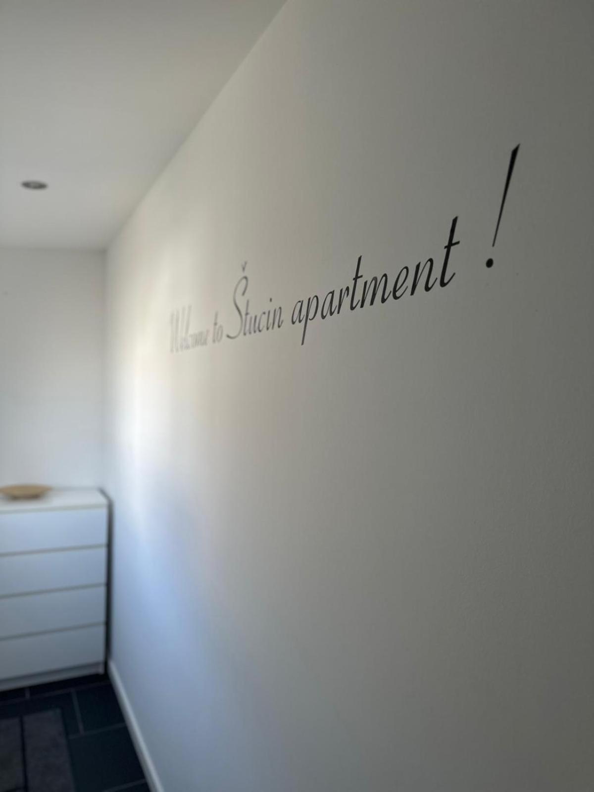 Apartment Stucin Vipava Esterno foto